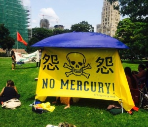 Grassy Narrows protest 2014