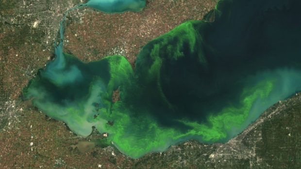 Lakes around the world are warming, and that's expected to lead to an increase in algae blooms like this one on Lake Erie in 2011, which made tap water undrinkable in places like Ohio. 