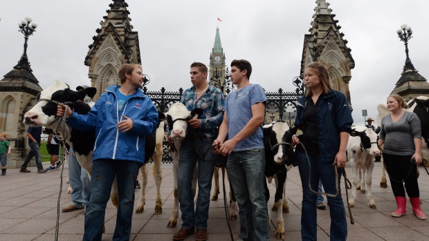 Young dairy farmers were part of a protest in downtown Ottawa on Tuesday, as supply management defenders from Ontario and Quebec expressed their concern over the Trans-Pacific Partnership negotiations. 