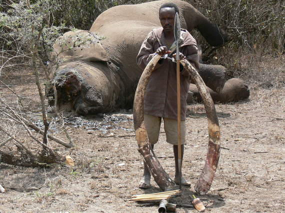 2013-12-28-elephantslaughter2jpg
