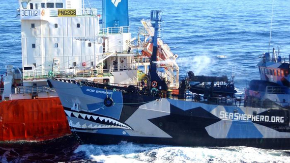 2015-12-07-1449464166-1344173-TheSeaShepherdshipBobBarkercollidingwiththeJapanesewhalingfleetfueltankertheSanLaurelin2013DrReeseHalter.jpg