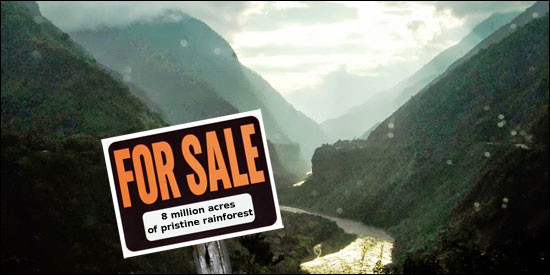 Don't Drill the Amazon - Defend It!