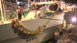 Fukushima Radiation Traced in Pacific Seafood