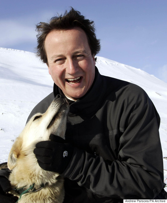 david cameron husky