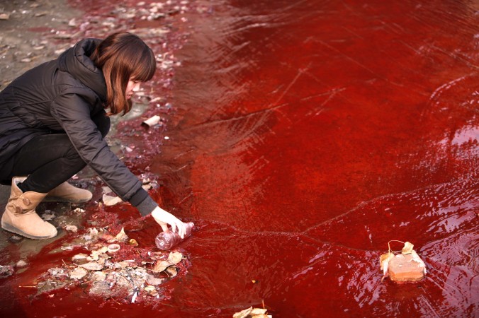 This picture taken on Dec. 13, 2011, shows a woman collecting a sample of the red polluted water flowing from a sewer into the Jian River in Luoyang, north China's Henan Province. Water pollution is becoming an existential crisis for China. (STR/AFP/Getty Images)