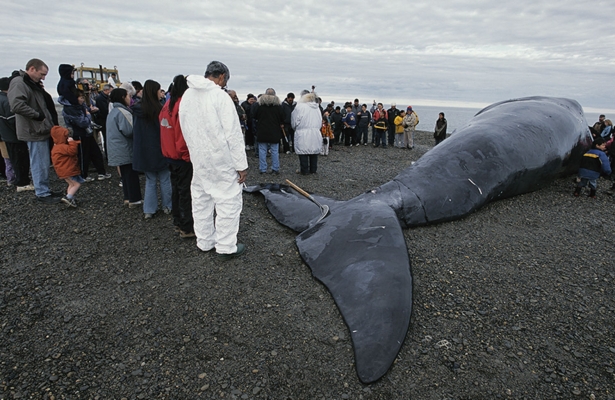 Prayer after a whale hunt
