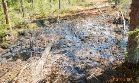 Tar Sands : Photos from a government scientist of the site of an oil spill in Cold Lake, Alta